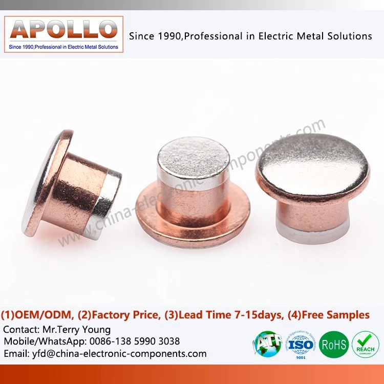 Head & Foot Silver Plated Contact Rivet factory
