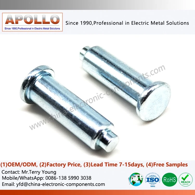 DT4C Relay Iron core Cold forging DT4C Relay Iron core Cold forging